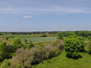 Haies bocagères Parc & Echangeur Grand Ouest